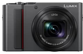 Panasonic DC-TZ202DEGS Travel Zoom Camera (1 Inch Sensor, 15x Optical Zoom, Leica Lens, Viewfinder, 4K, Silver) (Renewed)