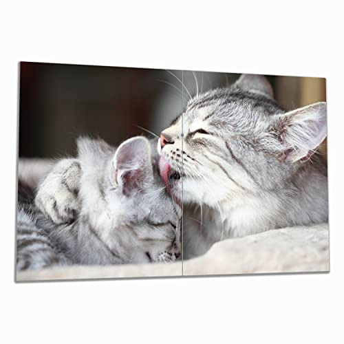 Wallario Herdabdeckplatte/Spritzschutz aus Glas, 2-teilig, 80x52cm, für Ceran- und Induktionsherde, Süße kleine getigerte Katzenbabys