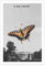 MJKO CD-Einband To Pimp A Butterfly, Leinwand-Poster, Schlafzimmer, Dekoration, Sport, Landschaft, Büro, Raumdekoration, Geschenk, ohne Rahmen, 40 x 60 cm