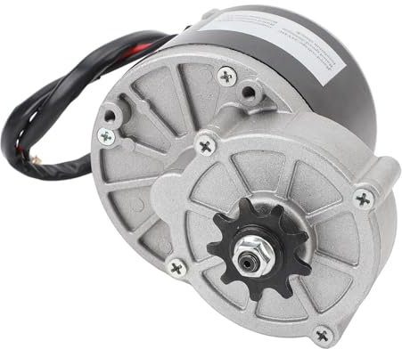 BuyWeek Getriebemotor 24V 1000W, 2950 RPM Reduktionsmotor Elektromotor für Elektrofahrrad Go Karts Elektrisches Dreirad