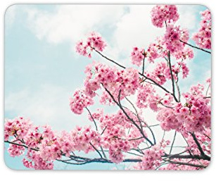 Destination Vinyl Ltd Pink Blossom Tree Mouse Mat Pad - Sakura Japanese Gift Computer #8793