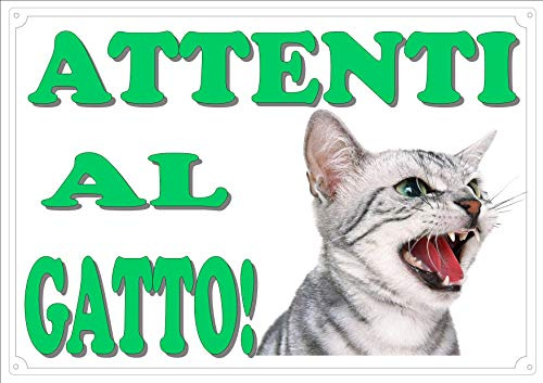 Cartello Targa ATTENTI AL GATTO da Cancello GATTO ARRABBIATO cm 30 x 21,5