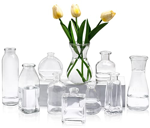 10 Stück Glas Knospenvasen Set, Mini Bulk Klare Kleine Blumenvasen für Mittelstück Blumensträuße Haus Tisch Deko Hochzeit Braut Party Dekorationen