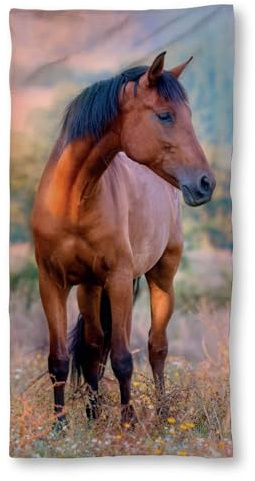 ESPiCO Handtuch Brauner Duschtuch Liegetuch Badetuch Kinder Motiv Pferd Tier Horse Baumwolle 70 cm x 140 cm
