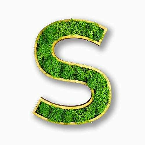 Moosly® Moosbild - S - mit Rahmen aus Holz, Moos Deko Buchstaben Zeichen Symbol Holzbuchstabe mit echtem Islandmoos Wandtattoo Wandsticker Wandbild selbstklebend Wohnzimmer (120 S)