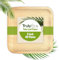 Truly Eco Palm Leaf Plates - Compostable, Biodegradable & Eco Friendly - Like Bamboo Disposable Plates for Party, Wedding, Picnic – Sturdy & Leak Proof (40, 6” Square Plates)