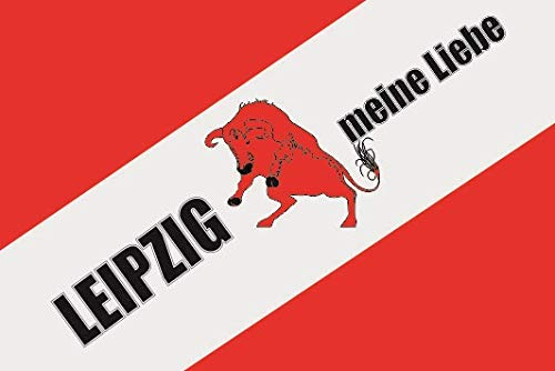 U24 Aufkleber Leipzig Meine Liebe Flagge Fahne 8 x 5 cm Autoaufkleber Sticker
