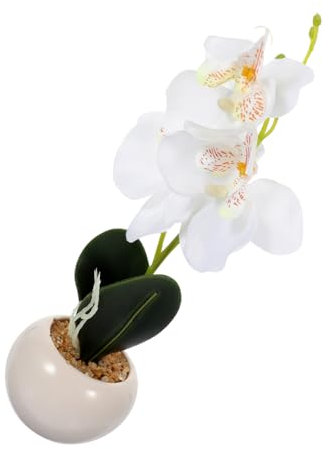 Yardenfun Bonsai Di Fiori Artificiali in Vasellino Simulazione Di Bonsai Phalaenopsis Per Decorazioni Interne Piante Realistiche Ornamentali Per Tavolo