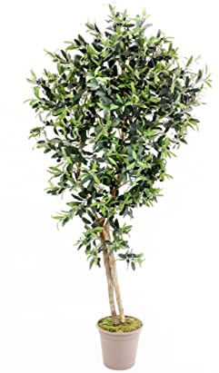 kunstpflanzen-Discount.com Künstlicher Olivenbaum 150cm mit 1536 Textilfaser Blätter und Naturstämme - Oliven Kunstbaum mit Früchten