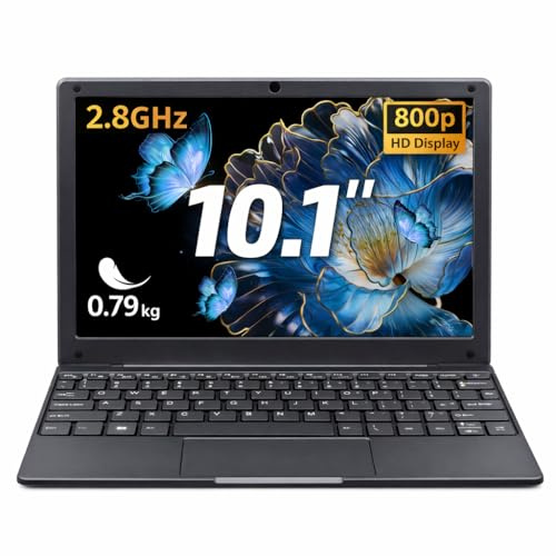 BINTEC 10.1 inch Ultra-Thin Portable Mini Laptop,Celeron N4020 Processor (up to 2.8Ghz), 8GB RAM DDR4,Weight only About 0.8Kg,Built-in Webcam, WiFi, Easy to Carry (Gray, 8G+128GB SSD)