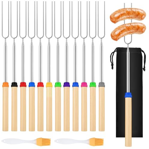 NINGYER 12 Pièces Brochettes Télescopiques Acier Inoxydable, 31-81 cm Fourchettes Marshmallow Brochette Avec 1 Sac en Toile Noire pour Camping, Feux de Camp et Pique-Niques
