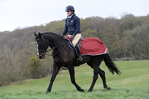 Bucas Freedom Riding Rug 135 Syrah