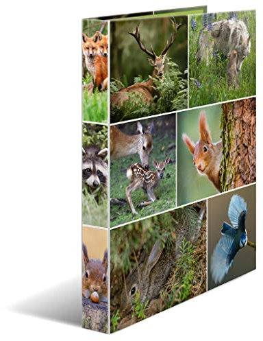 HERMA Ring Binder Animals with Forest Animals Motif, A4, 35 mm Spine, Slim 4-Ring Binder Made of Cardboard
