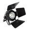 2in1 LED Par Light, 100 W COB Scheinwerfer DMX Bühnenlicht Kaltweiß/Warmweiß Stroboskop Bühnenlicht für Fotografie, Kirche, Bankett, Hochzeit, Theater