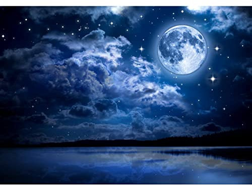 Runa Art Papier Peint panoramique Nuit de pleine lune 352 x 250 cm Toison Mur XXL Moderne Décoration Murale Salon Chambre á Coucherr Bureau Salle bleu 9116011a