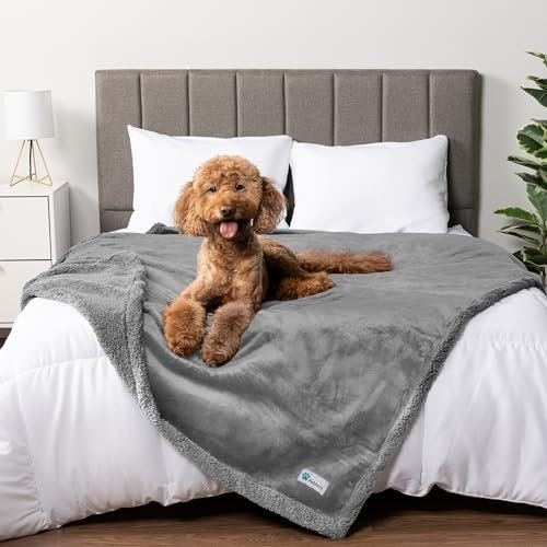 PetAmi Wasserdichte Hundedecke für Queensize-Bett, groß, XL, Hundedecke für Couch, auslaufsicher, Möbelschutz, Sherpa-Fleece, wendbar, weich, waschbar, 229 x 229 cm, Hellgrau