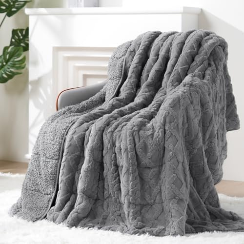 Super Fuzzy Soft Sherpa Fleece Weighted Blanket, 15 lbs Dual Sided Fluffy Heavy Weighted Blankets for Adults - No Bunching with Double Layers of Soft Inner Lining (60x 80, 15 Pounds)