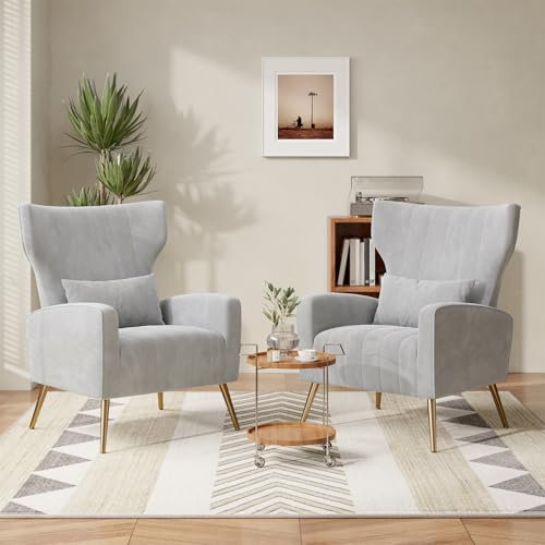 Hawthyhome 2er-Set Relaxsessel Fernsehsessel Ohrensessel mit Kopfkissen und Gold Metallfüßen Einzelsofa aus Samt bis 130kg Schlafzimmer/Wohnzimmer/Lounge Grau