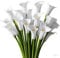MSINMINW Künstliche Calla-Lilien, Blumenstrauß, 34,9 cm langer Stiel, künstliche Calla-Lilien, fühlen sich echt an, Latex-Blumen für Heimwerker, Hochzeit, Braut, Segen, Geschenk, Heimdekoration (24,