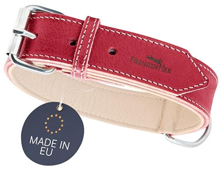 FREUDENTIER Hundehalsband Leder, gefüttert & komfortabel, hochwertiges breites Lederhalsband aus Vollnarbenleder, Amstelpark Kollektion in Spicy Red (32-42cm Halsumfang, Rot)