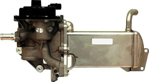 Meat & Doria 88202 EGR Ventil komplett