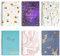 evelay Terminplaner 2026, A5, Wochenansicht, Spiralbindung, Hardcover, Büro, Schule (Blumen)