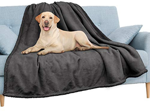 PAVILIA wasserdichte Decke für Couch, Sofa | wasserdichte Hundedecke für große Hunde, Welpen, Katze | Haustierdecke Schutz | Plüsch Weich Warm Fuzzy Sherpa Decke Bett Überwurf, Dunkelgrau, 90x90