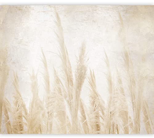 murando - Fototapete Selbstklebend Natur 343x256 cm - Foto Tapete Tapetenfolie Möbelfolie Wandverkleidung Wandtapete Motivtapeten Wohnzimmer Schlafzimmer 3d Effekt Modern - Gras Beige b-A-10194-a-a