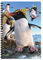 3D LiveLife A5 Notizbuch - Rockhoppers von Deluxebase. 80-seitiges 3D-Pinguin-Notizbuch. Schul- oder Büromaterial mit Kunstwerken, von renommierten Künstler David Penfound lizenziert