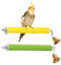 CPJJ 2 unidades Perchas limauñas para loros con campana, mordazas resistentes y antideslizantes, para loros, pájaros, masticar juguetes, E, S