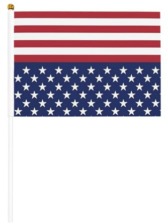 Bandiera americana con stampa a stelle e strisce, piccola bandiera per sfilate, martedì grasso, striscione personalizzato (6 pezzi)