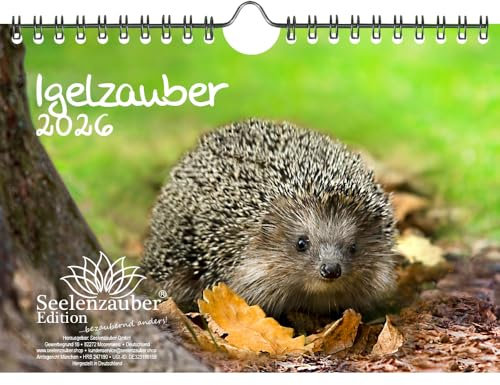 Igelzauber DIN A5 Kalender für 2026 Igel - Seelenzauber