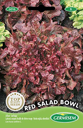 Germisem Red Salad Bowl Semillas de Lechuga 4 g