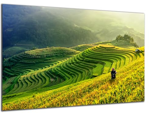 DARO Design - Wand-Bild 6mm HDF 84x56 cm Tee-anbau Plantage - Wand-Deko Bilder Wohnzimmer