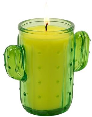 Bougie à la Citronnelle en Forme de Cactus Pot en Verre Longue Durée Idéale pour Extérieur