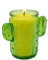 Bougie à la Citronnelle en Forme de Cactus Pot en Verre Longue Durée Idéale pour Extérieur