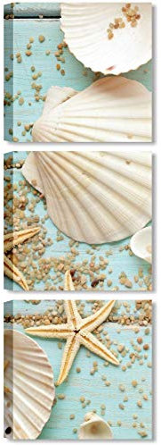 Quadri L&C ITALIA Tris Conchiglie Mare - Quadretti Bagno Moderno Shabby e Camera da Letto 25 x 25 Stampe su Tela da Parete Azzurro Blu