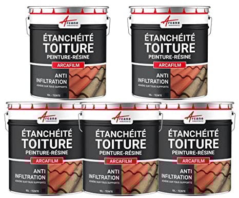 Étanchéité Toiture : Peinture résine d'étanchéité ARCAFILM pour Toit et Tuile - Offre Spéciale : 5 x 10L Ardoise - ARCANE INDUSTRIES