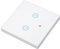 Interrupteur d'éclairage sans Fil, Interrupteur Tactile Intelligent Anti-déformation, Commande Vocale Intelligente, Installation Simple avec Récepteur pour Application Tuya (2 groupes)