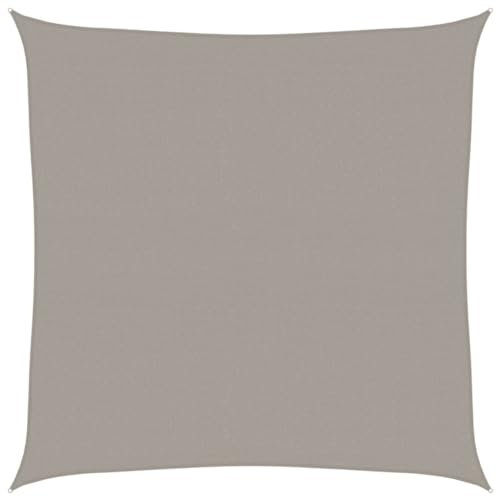 vidaXL Voile d'ombrage 160 g/m² carré Gris Clair 6x6 m PEHD, Voile de Soleil, Voile d’ombrage, Store de Patio, Voile de Pare-Soleil, Voile de Jardin