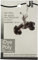 Jacquard iDye Poly Fabric Dye 14g-Silver Grey