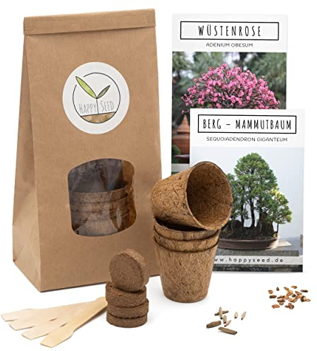 Bonsai Kit incl. eBook GRATUITO - Starter Set con vasi di cocco, semi e terra - idea regalo sostenibile per gli amanti delle piante (Rosa del Deserto + Sequoia Gigante)