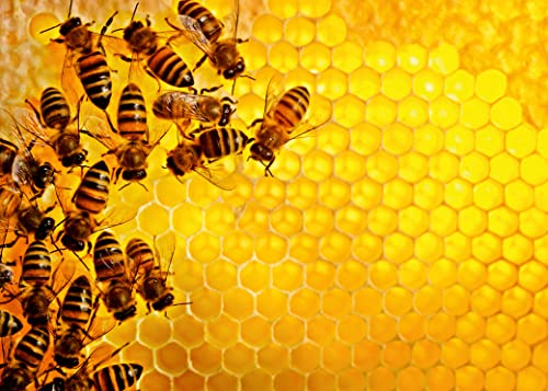 Ravensburger Challenge Puzzle 17362 Bienen - 1000 Teile Puzzle für Erwachsene und Kinder ab 14 Jahren