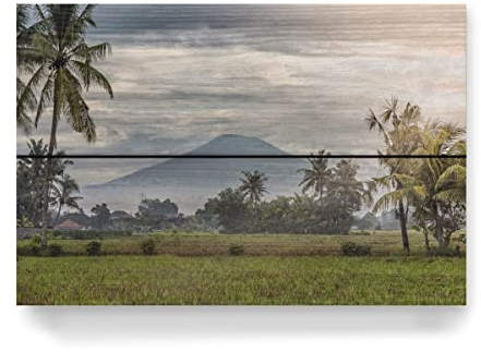 artboxONE Holzbild 30x20 cm Natur Landschaft auf Bali von Künstler Manjik