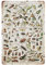 JOCASA Metallschild mit Insektenarten im Vintage-Stil, Retro-Design, Aluminium-Blechschild für Zuhause, Wanddekoration, Büro, Schlafzimmer, Schilder, Geschenk, 30,5 x 20,3 cm