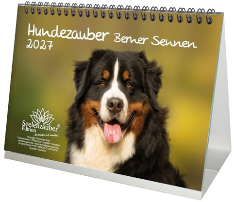 Hundezauber Berner Sennen DIN A5 Tischkalender für 2027 Welpen und Hunde - Seelenzauber