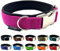 Hundehalsband Softshell unterlegt verstellbar für kleine Hunde & große Hunde S/M/L/XL (M 41cm - 48cm Breite: 25mm, Flieder)