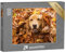 puzzleYOU: Puzzle 1000 Teile „Golden Retriever, versteckt im Herbstlaub“ – aus der Puzzle-Kollektion Hunde, Golden Retriever