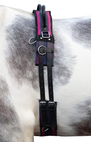 HKM Longiergurt -Canvas- mit Doppelgriff, Vollblut, navy/passion pink