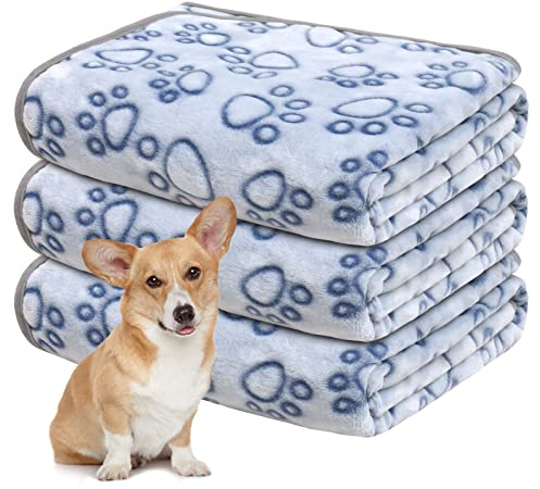 Gorgelly 1 Pack 3 Hundedecke, Weiche Haustierdecke Waschbar, Kuscheldecke Flauschig für Kleine Mittlere Hunde Katzen, Sofaschoner für Hunde, Hundedecke für Unterwegs, 80x60 cm